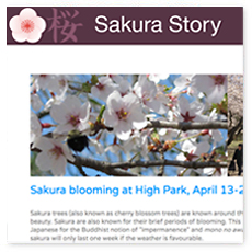 sakura story main page